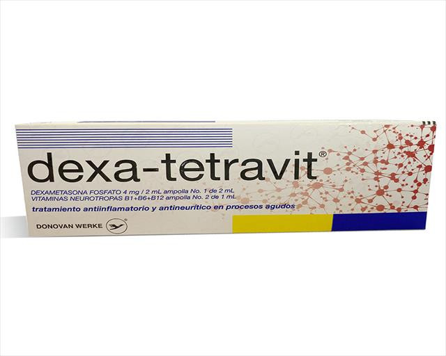 DEXA TETRAVIT X 1 AMPOLLA