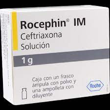 ROCEPHIN AMPOLLA 1G IV x 1