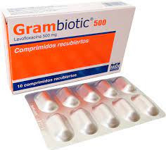 GRAMBIOTIC TABLETAS 500MG x 10