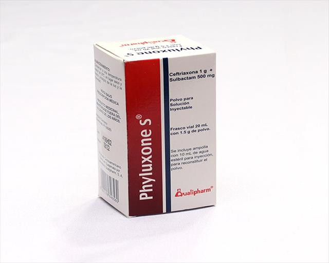 PHYLUXONE S 1.5 POLVO VIAL X 20ML