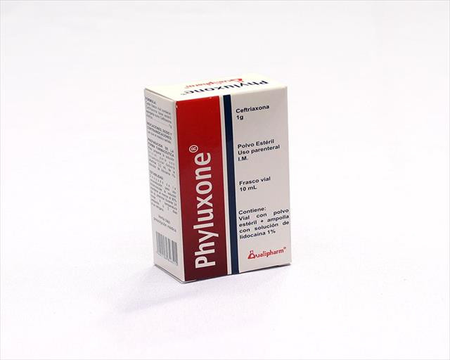 PHYLUXONE VIAL  1G C/DILUYENTE X 1