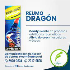 MEMO DRAGON JARABE X 240 ML