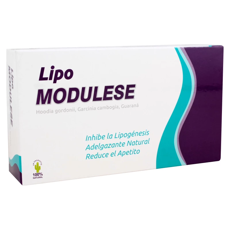 LIPO MODULESE  X 60 COMPRIMIDOS